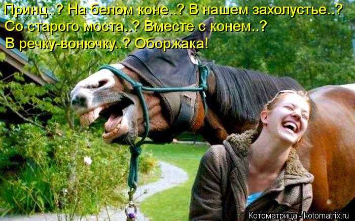 Принц..? На белом коне..? В нашем захолустье..? Со старого моста..? Вместе с конем..? В речку-воню... Котоматрица: Принц..? На белом коне..? В нашем захолустье..? Со старого моста..? Вместе с конем..? В речку-вонючку..? Оборжака!