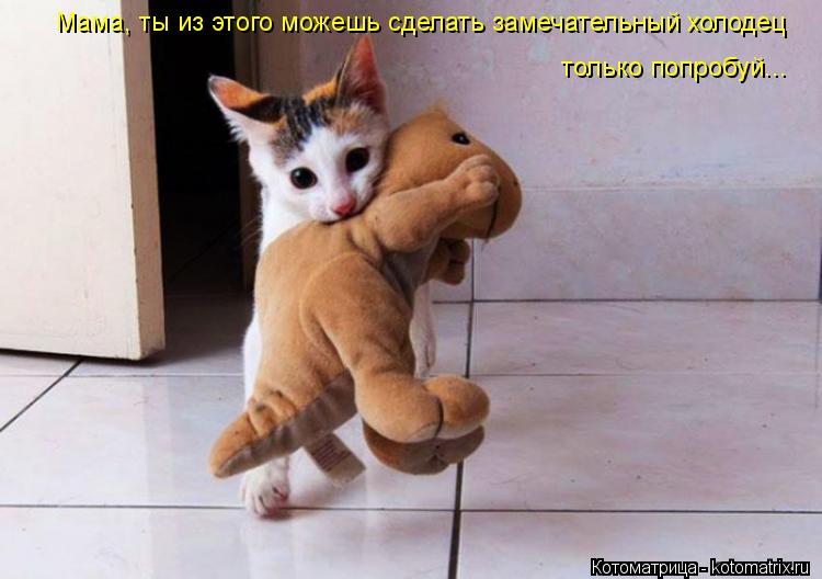 Мама, ты из этого можешь сделать замечательный холодец только попробуй...... Котоматрица: Мама, ты из этого можешь сделать замечательный холодец только попробуй...