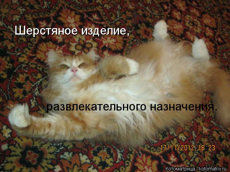 Шерстяное изделие, развлекательного назначения.... Котоматрица: Шерстяное изделие, развлекательного назначения.