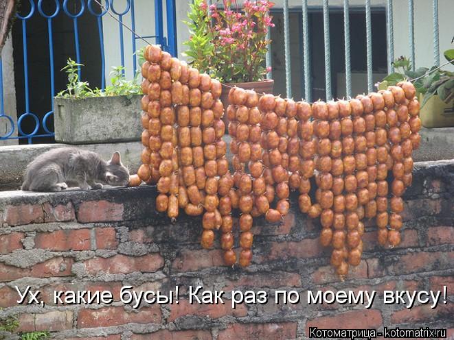 Ух, какие бусы! Как раз по моему вкусу!... Котоматрица: Ух, какие бусы! Как раз по моему вкусу!