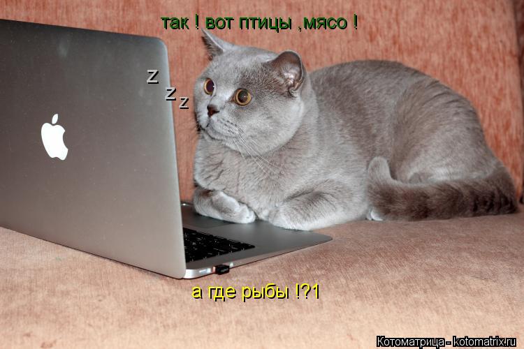 так ! вот птицы ,мясо ! а где рыбы !?1 z z z... Котоматрица: так ! вот птицы ,мясо ! а где рыбы !?1 z z z