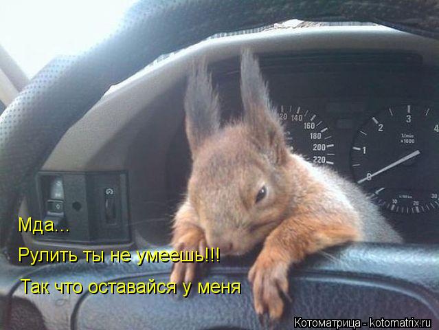 Мда... Рулить ты не умеешь!!! Так что оставайся у меня... Котоматрица: Мда... Рулить ты не умеешь!!! Так что оставайся у меня