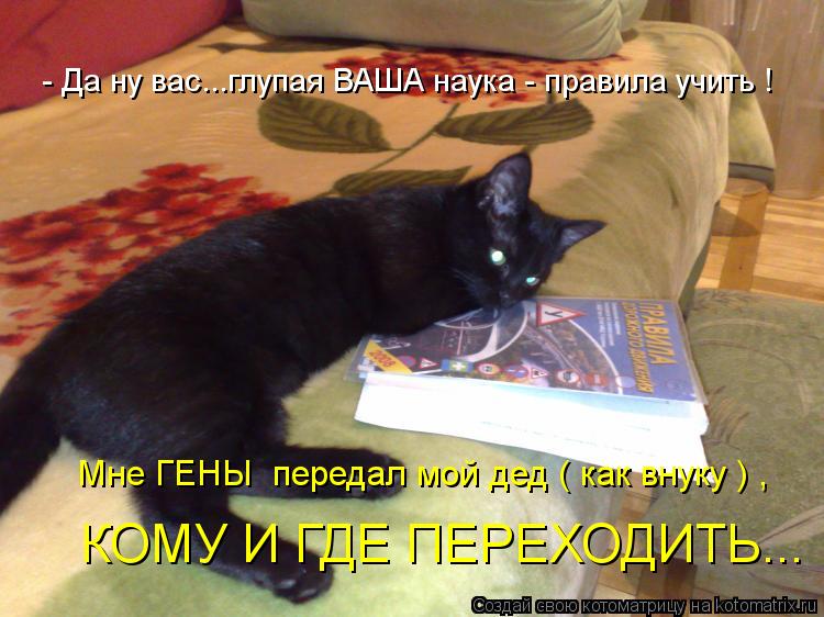 - Да ну вас...глупая ВАША наука - правила учить ! КОМУ И ГДЕ ПЕРЕХОДИТЬ... Мне ГЕНЫ передал мой дед ... Котоматрица: - Да ну вас...глупая ВАША наука - правила учить ! КОМУ И ГДЕ ПЕРЕХОДИТЬ... Мне ГЕНЫ передал мой дед ( как внуку ) ,