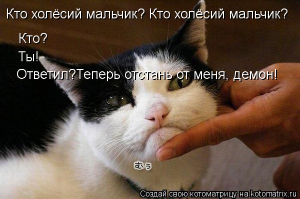 Кто холёсий мальчик? Кто холёсий мальчик? Кто? Кто? Ты! Ответил?Теперь отстань от меня, демон!... Котоматрица: Кто холёсий мальчик? Кто холёсий мальчик? Кто? Кто? Ты! Ответил?Теперь отстань от меня, демон!
