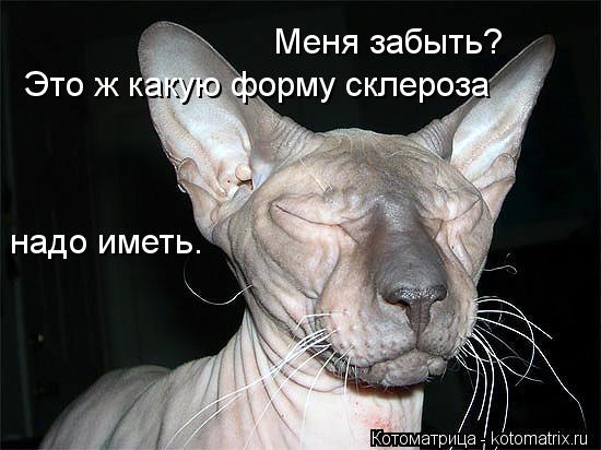 Меня забыть? Это ж какую форму склероза надо иметь.... Котоматрица: Меня забыть? Это ж какую форму склероза надо иметь.