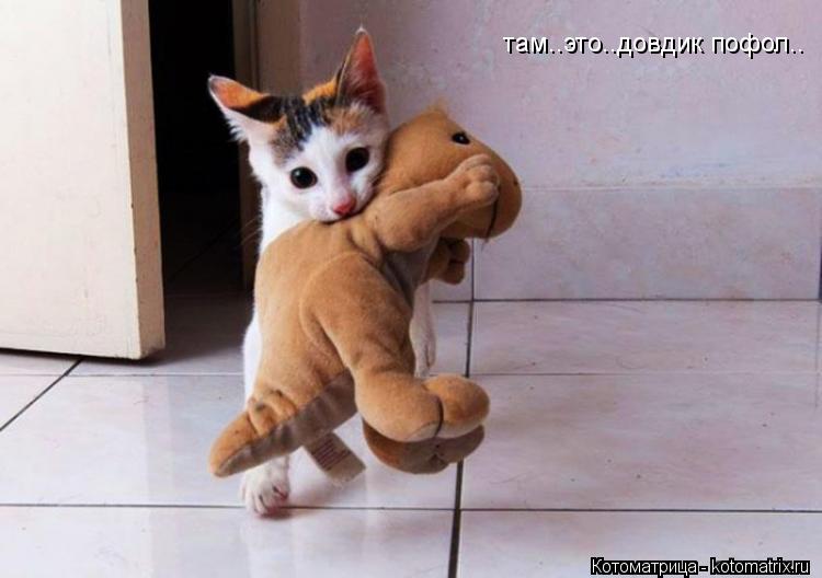 там..это..довдик пофол..... Котоматрица: там..это..довдик пофол..