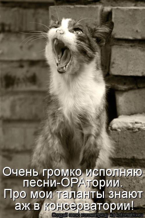 Котоматрица: песни-ОРАтории. Про мои таланты знают аж в консерватории! Очень громко исполняю