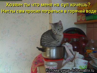 Хозяин ты что меня на суп хочешь? Нет,ты сам просил погреться в горячей воде... Котоматрица: Хозяин ты что меня на суп хочешь? Нет,ты сам просил погреться в горячей воде