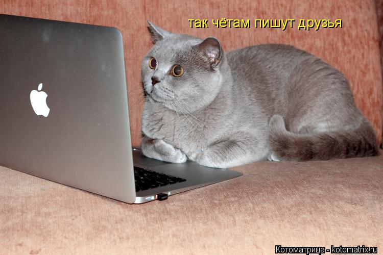 так чётам пишут друзья так чётам пишут друзья... Котоматрица: так чётам пишут друзья так чётам пишут друзья