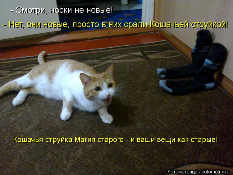 - Смотри, носки не новые! - Нет, они новые, просто в них срали Кошачьей струйкой! Кошачья струйка... Котоматрица: - Смотри, носки не новые! - Нет, они новые, просто в них срали Кошачьей струйкой! Кошачья струйка Магия старого - и ваши вещи как старые!