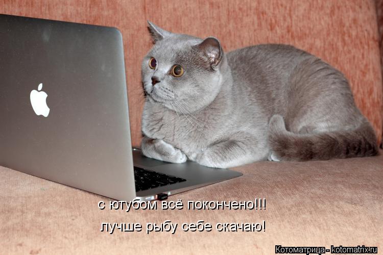 с ютубом всё покончено!!! лучше рыбу себе скачаю!... Котоматрица: с ютубом всё покончено!!! лучше рыбу себе скачаю!