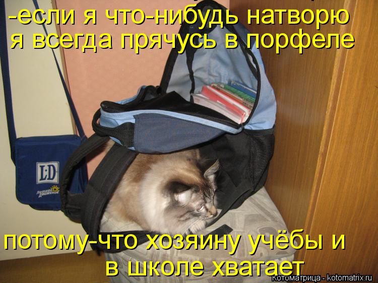 -если я что-нибудь натворю -если я что-нибудь натворю я всегда прячусь в порфеле потому-что хозяину у... Котоматрица: -если я что-нибудь натворю -если я что-нибудь натворю я всегда прячусь в порфеле потому-что хозяину учёбы и в школе хватает