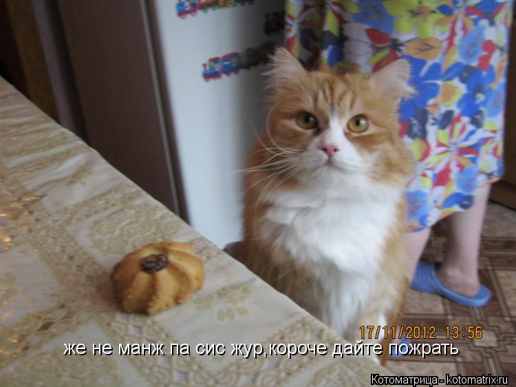 же не манж па сис жур,короче дайте пожрать... Котоматрица: же не манж па сис жур,короче дайте пожрать