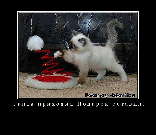 Санта приходил.Подарок оставил. ... Котоматрица: Санта приходил.Подарок оставил.