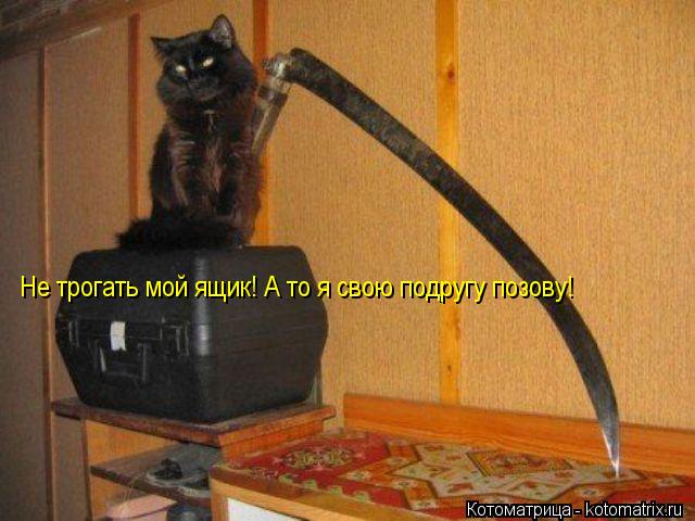 Не трогать мой ящик! А то я свою подругу позову!... Котоматрица: Не трогать мой ящик! А то я свою подругу позову!