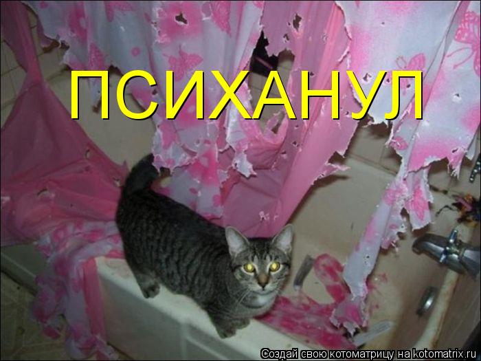 ПСИХАНУЛ... Котоматрица: ПСИХАНУЛ