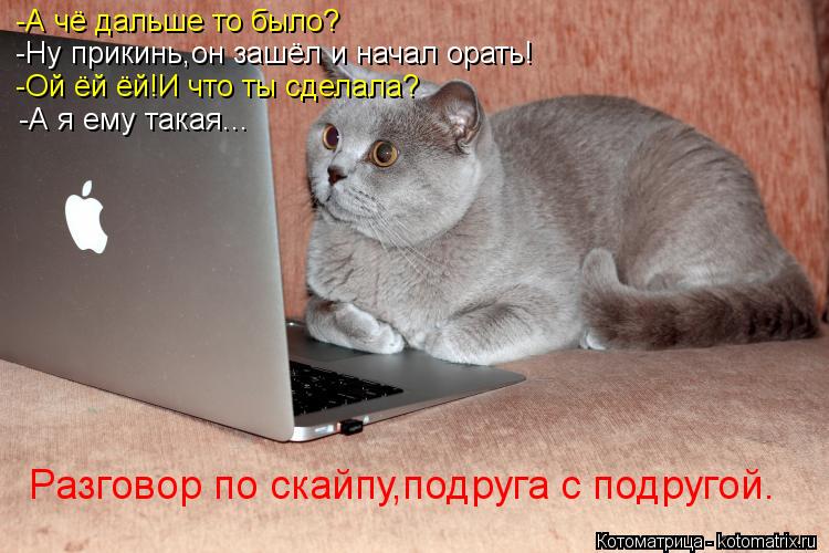 -А чё дальше то было? -Ну прикинь,он зашёл и начал орать! -Ой ёй ёй!И что ты сделала? -А я ему такая.... Котоматрица: -А чё дальше то было? -Ну прикинь,он зашёл и начал орать! -Ой ёй ёй!И что ты сделала? -А я ему такая... Разговор по скайпу,подруга с подругой.