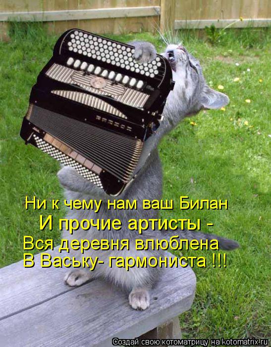 Котоматрица: Ни к чему нам ваш Билан  И прочие артисты - Вся деревня влюблена В Ваську- гармониста !!!