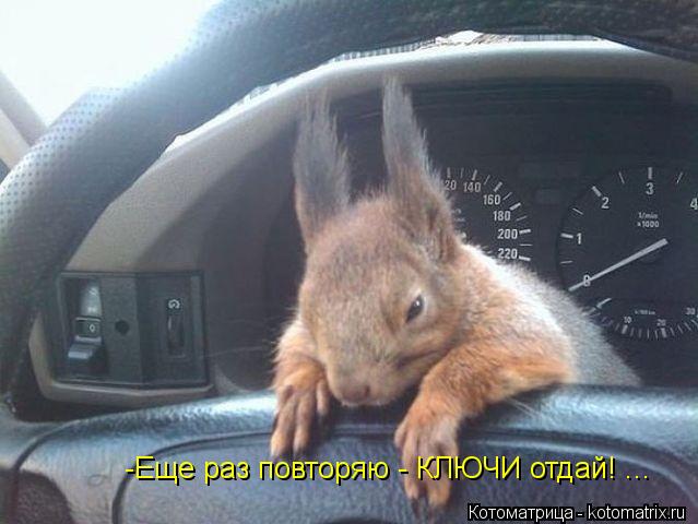-Еще раз повторяю - КЛЮЧИ отдай! ...... Котоматрица: -Еще раз повторяю - КЛЮЧИ отдай! ...