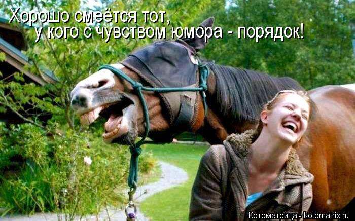 Хорошо смеётся тот, у кого с чувством юмора - порядок!... Котоматрица: Хорошо смеётся тот, у кого с чувством юмора - порядок!