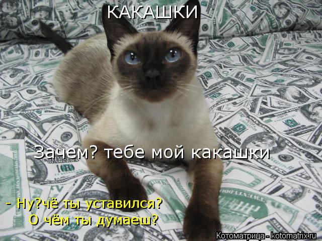 - Ну?чё ты уставился? О чём ты думаеш? КАКАШКИ Зачем? тебе мой какашки... Котоматрица: - Ну?чё ты уставился? О чём ты думаеш? КАКАШКИ Зачем? тебе мой какашки