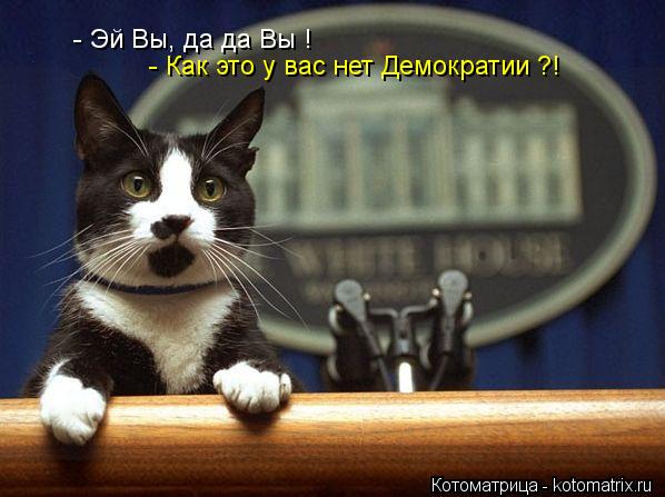 - Эй Вы, да да Вы ! - Как это у вас нет Демократии ?!... Котоматрица: - Эй Вы, да да Вы ! - Как это у вас нет Демократии ?!