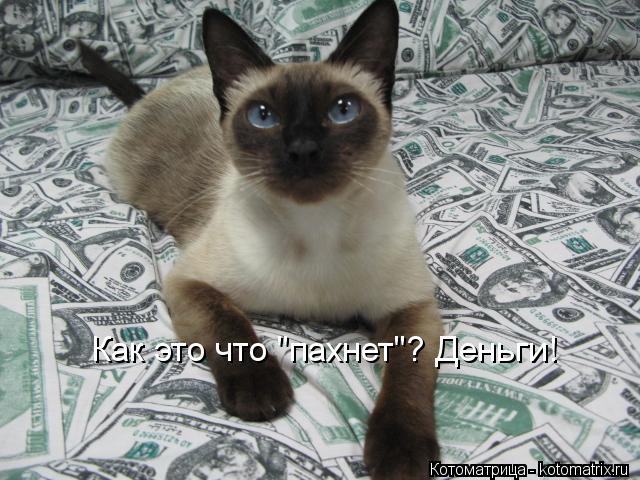 Как это что "пахнет"? Деньги!... Котоматрица: Как это что "пахнет"? Деньги!