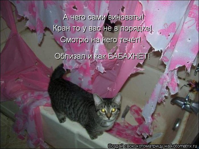 А чего сами виноваты! Кран то у вас не в порядке! Смотрю на него течёт! Облизал и как БАБАХНЕТ!... Котоматрица: А чего сами виноваты! Кран то у вас не в порядке! Смотрю на него течёт! Облизал и как БАБАХНЕТ!