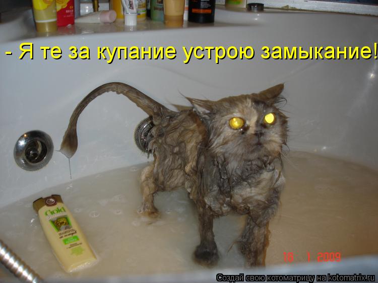- Я те за купание устрою замыкание!... Котоматрица: - Я те за купание устрою замыкание!
