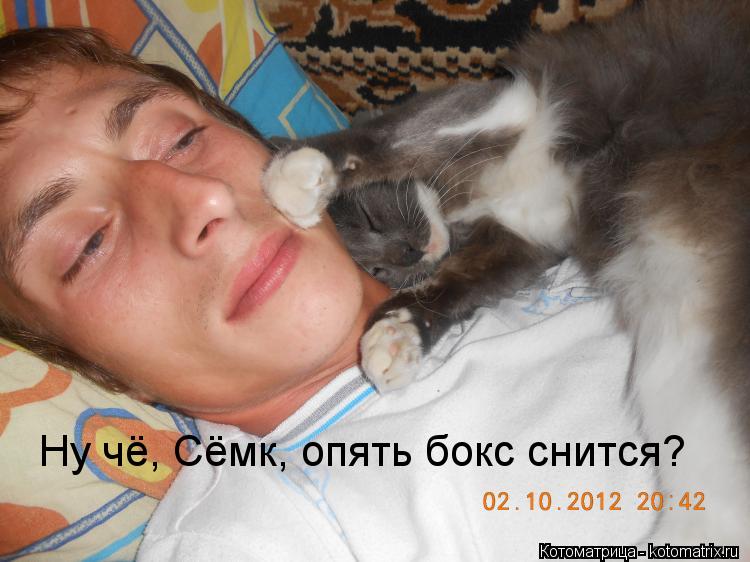 Ну чё, Сёмк, опять бокс снится?... Котоматрица: Ну чё, Сёмк, опять бокс снится?