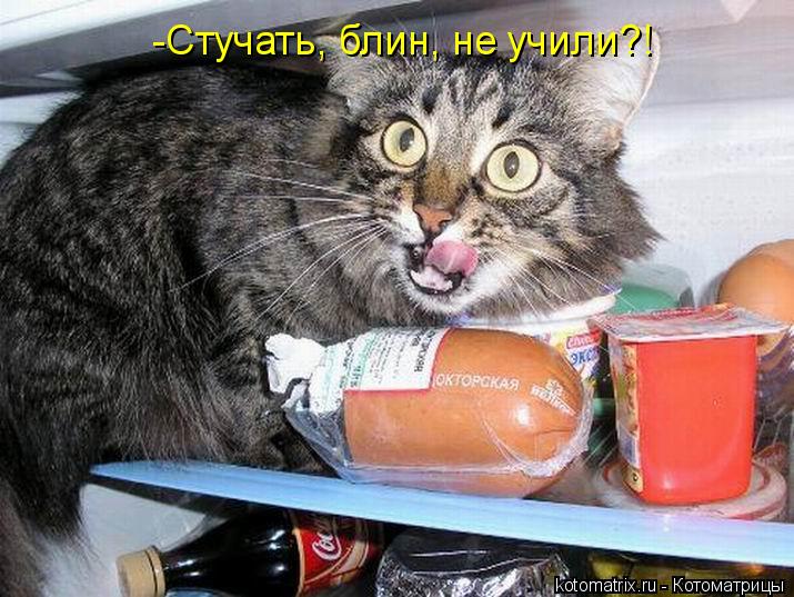 -Стучать, блин, не учили?!... Котоматрица: -Стучать, блин, не учили?!