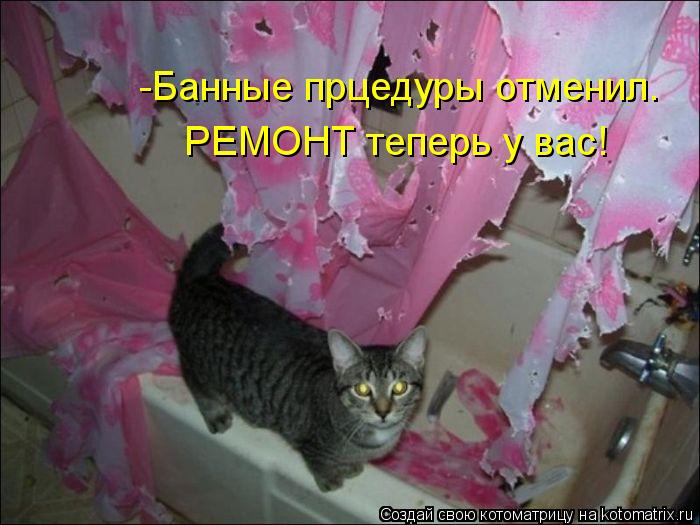 -Банные прцедуры отменил. РЕМОНТ теперь у вас!... Котоматрица: -Банные прцедуры отменил. РЕМОНТ теперь у вас!