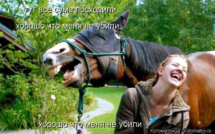тут все сума посходили хорошо что меня не убили хорошо что меня не убили... Котоматрица: тут все сума посходили хорошо что меня не убили хорошо что меня не убили