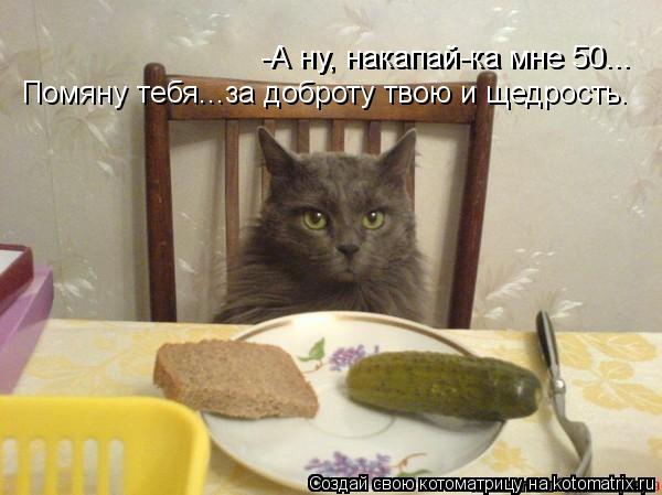 -А ну, накапай-ка мне 50... -А ну, накапай-ка мне 50... Помяну тебя...за доброту твою и щедрость.... Котоматрица: -А ну, накапай-ка мне 50... -А ну, накапай-ка мне 50... Помяну тебя...за доброту твою и щедрость.