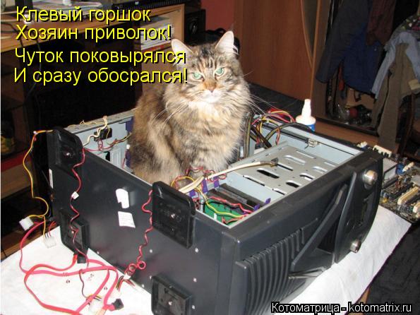 Клевый горшок Хозяин приволок! Чуток поковырялся И сразу обосрался!... Котоматрица: Клевый горшок Хозяин приволок! Чуток поковырялся И сразу обосрался!