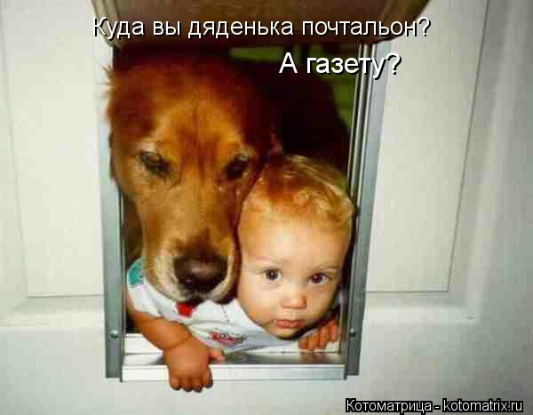 Куда вы дяденька почтальон? А газету?... Котоматрица: Куда вы дяденька почтальон? А газету?