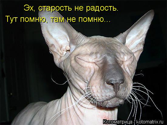 Эх, старость не радость. Тут помню, там не помню...... Котоматрица: Эх, старость не радость. Тут помню, там не помню...