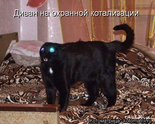 Диван на охранной котализации... Котоматрица: Диван на охранной котализации