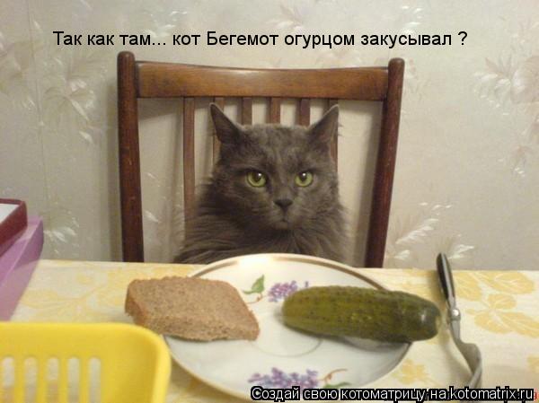 Так как там... кот Бегемот огурцом закусывал ?... Котоматрица: Так как там... кот Бегемот огурцом закусывал ?