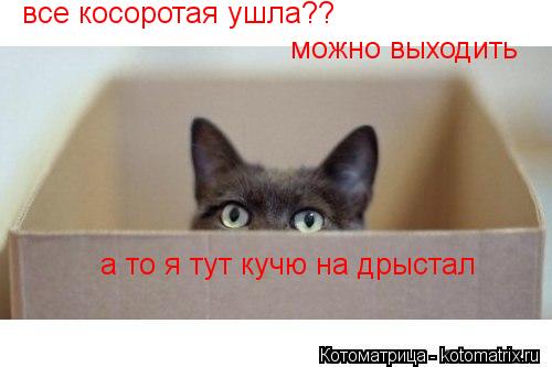 Котоматрица: все косоротая ушла?? можно выходить  а то я тут кучю на дрыстал