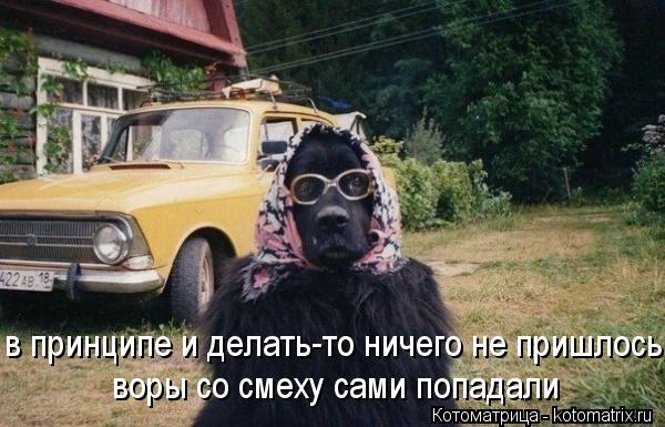воры со смеху сами попадали в принципе и делать-то ничего не пришлось... Котоматрица: воры со смеху сами попадали в принципе и делать-то ничего не пришлось