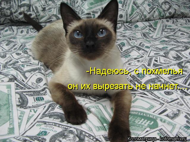 -Надеюсь, с похмелья он их вырезать не начнет....... Котоматрица: -Надеюсь, с похмелья он их вырезать не начнет....