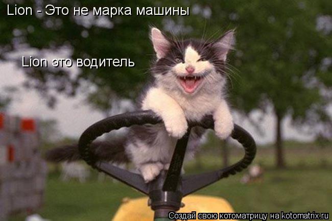 Lion - Это не марка машины Lion это водитель... Котоматрица: Lion - Это не марка машины Lion это водитель