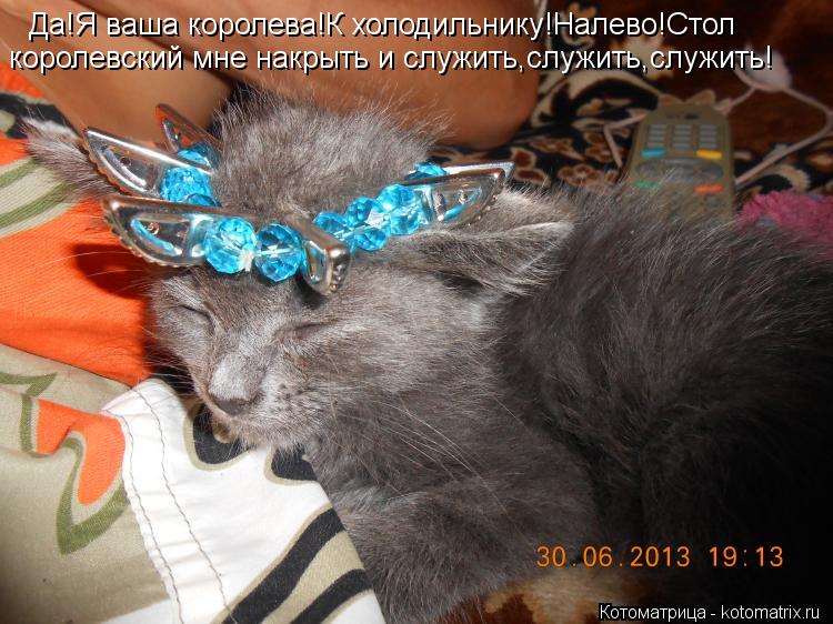Да!Я ваша королева!К холодильнику!Налево!Стол королевский мне накрыть и служить,служить,служить!... Котоматрица: Да!Я ваша королева!К холодильнику!Налево!Стол королевский мне накрыть и служить,служить,служить!