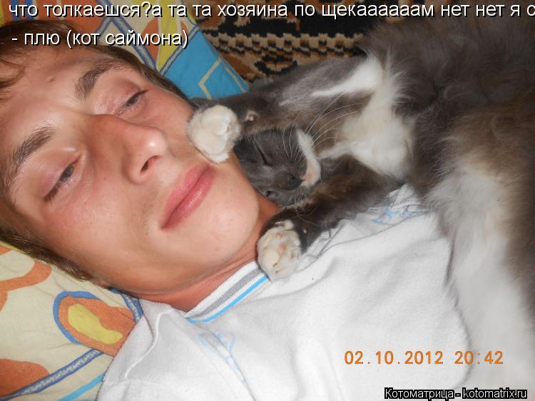 что толкаешся?а та та хозяина по щекаааааам нет нет я сплю - плю (кот саймона)... Котоматрица: что толкаешся?а та та хозяина по щекаааааам нет нет я сплю - плю (кот саймона)
