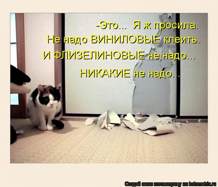 -Это... Я ж просила. Не надо ВИНИЛОВЫЕ клеить. И ФЛИЗЕЛИНОВЫЕ не надо... НИКАКИЕ не надо...... Котоматрица: -Это... Я ж просила. Не надо ВИНИЛОВЫЕ клеить. И ФЛИЗЕЛИНОВЫЕ не надо... НИКАКИЕ не надо...
