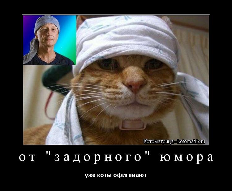 от "задорного" юмора уже коты офигевают... Котоматрица: от "задорного" юмора уже коты офигевают
