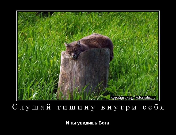 Слушай тишину внутри себя И ты увидишь Бога ... Котоматрица: Слушай тишину внутри себя И ты увидишь Бога