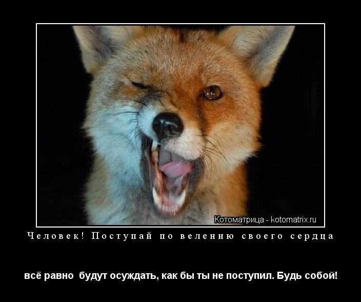 Человек! Поступай по велению своего сердца всё равно будут осуждать, как бы ты не поступил. Будь соб... Котоматрица: Человек! Поступай по велению своего сердца всё равно будут осуждать, как бы ты не поступил. Будь собой!