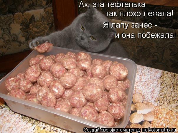 Ах, эта тефтелька так плохо лежала! Я лапу занес - и она побежала!... Котоматрица: Ах, эта тефтелька так плохо лежала! Я лапу занес - и она побежала!